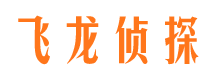 保亭市调查公司